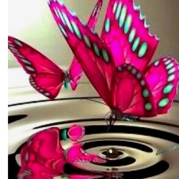 Meet your Posher, Sonja - Picture 1 of 1